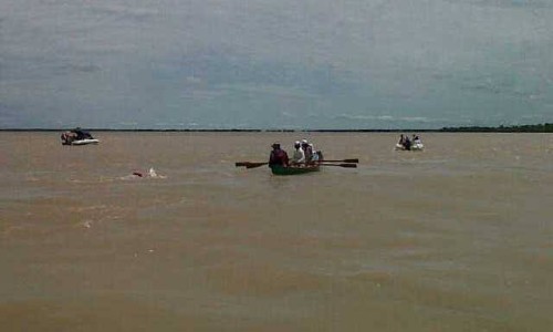 04_herpar_afana